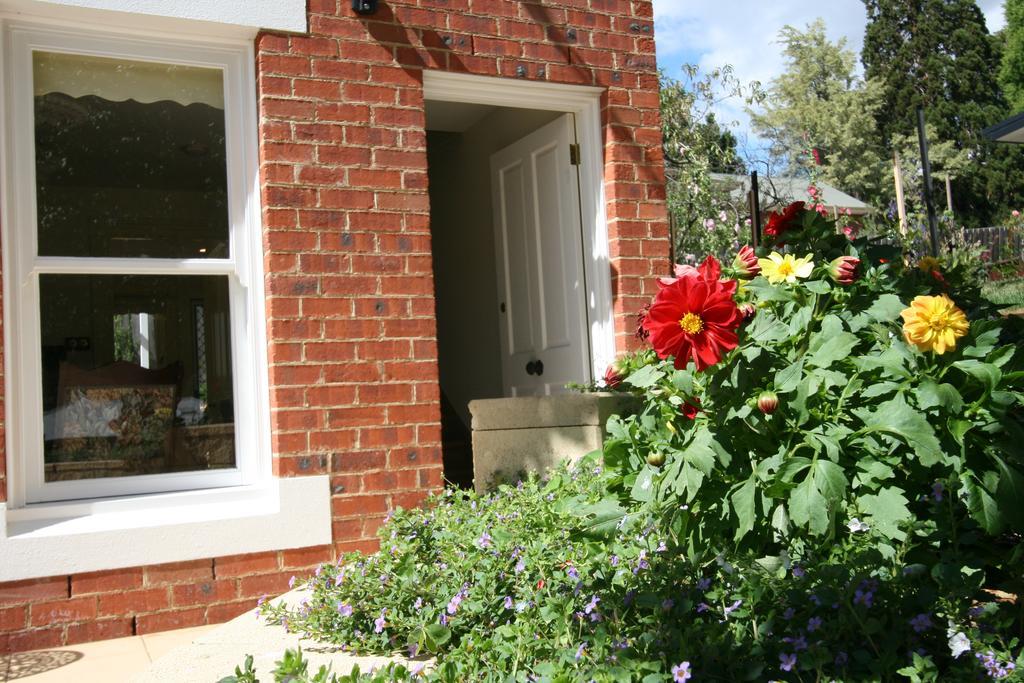 Annies Garden Cottage Хобарт Экстерьер фото